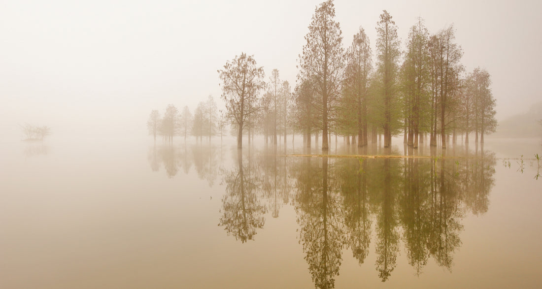 The Sound of Silence
