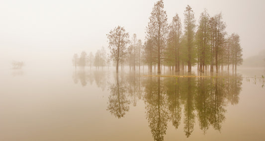 The Sound of Silence